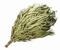 Веник эвкалиптовый в уп. Банные штучки веник эвкалиптовый в уп. банные штучки