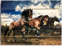 Картина "Кони в поле" 30*40 см на дереве Ж002, ПЭМ картина "кони в поле" 30*40 см на дереве ж002, пэм