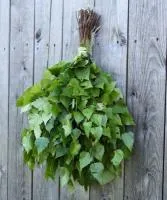 веник березовый, в упаковке, огненный камень