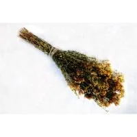 Пучок зверобоя "Mr.Venikoff" пучок зверобоя "mr.venikoff"