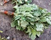 Веник "Барский" из канадского дуба в упаковке, Бацькина баня веник "барский" из канадского дуба в упаковке, бацькина баня