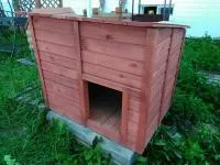 Будка для собак деревянная, с односкатной крышей, крашеная, Банный Перец будка для собак деревянная, с односкатной крышей, крашеная, банный перец