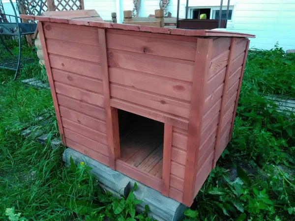 Будка для собак деревянная, с односкатной крышей, крашеная, утеплённая, Банный Перец будка для собак деревянная, с односкатной крышей, крашеная, утеплённая, банный перец